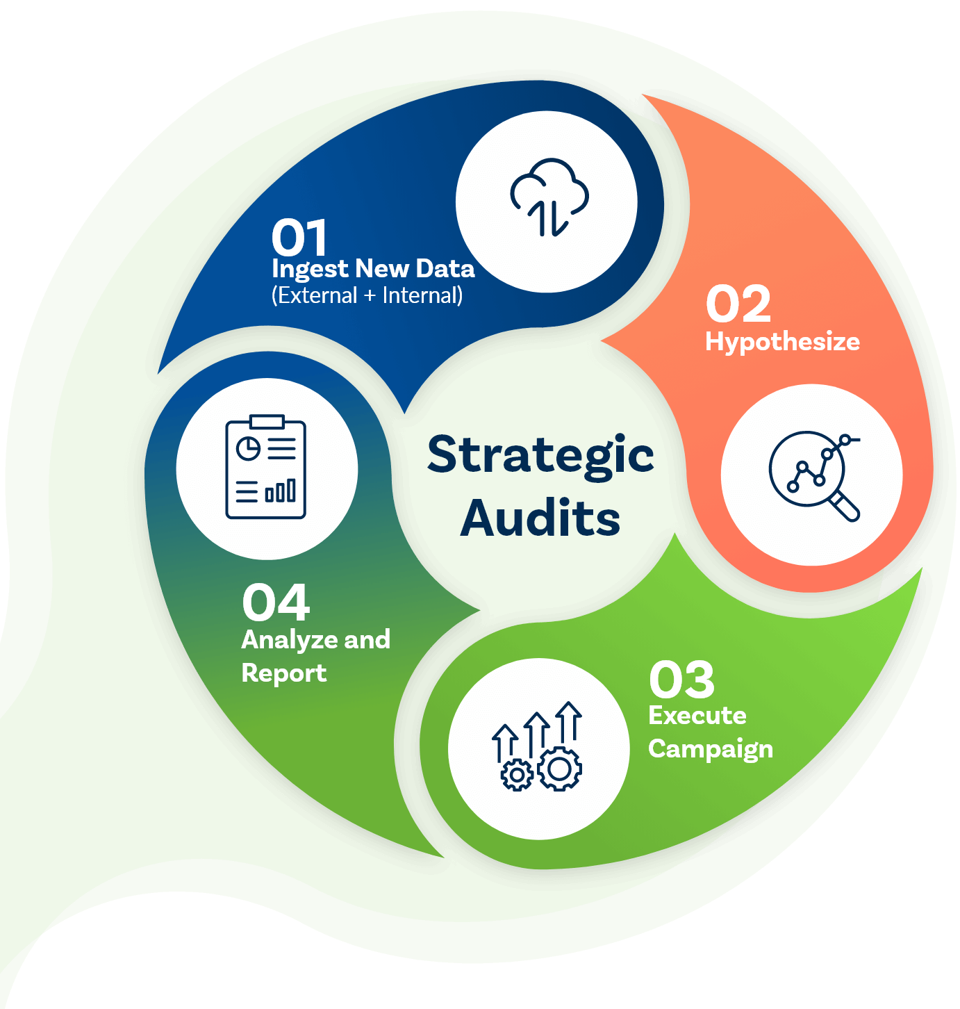 Graphic showcasing steps of VeraData's audits